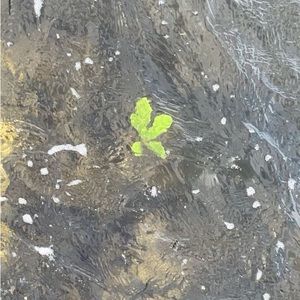 Meet your Posher, China